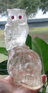 Natur Citrin Kristallschädel mit Eule 1,45 kg