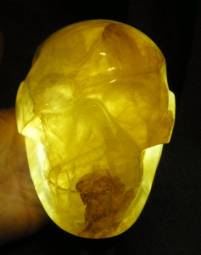 Golden Healer Schädel aus Brasilien ca. 1,49 kg
